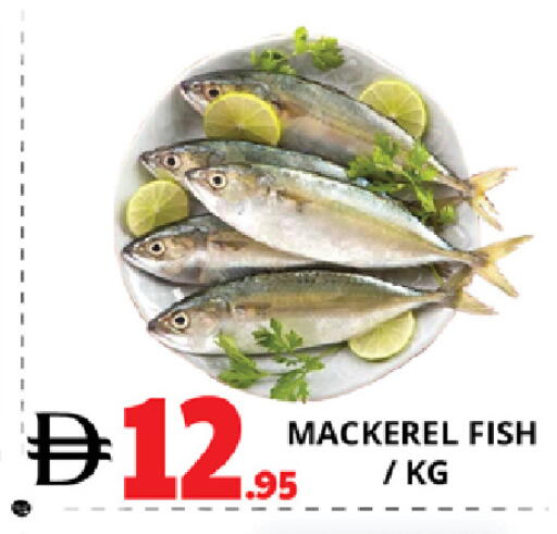 available at EXPRESS AL MADEENA HYPERMARKET LLC in UAE - Abu Dhabi