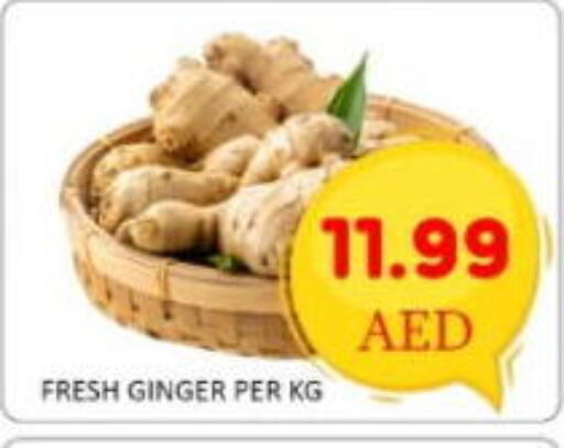 available at GREEN GIFT DEPARTMENT STORE in UAE - Abu Dhabi