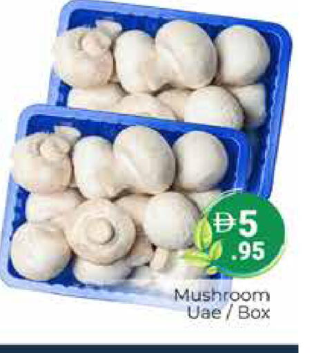 Mushroom available at هايبر ماركت باسونز in الإمارات العربية المتحدة , الامارات - دبي