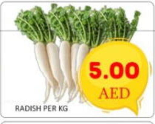available at GREEN GIFT DEPARTMENT STORE in UAE - Abu Dhabi