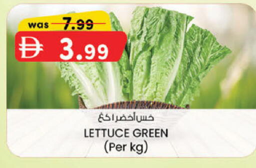 Lettuce متوفر لدى ك. الم. للتجارة في الإمارات العربية المتحدة , الامارات - دبي