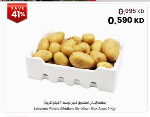 Potato from Lebanon available at The Sultan Center in Kuwait - Kuwait City