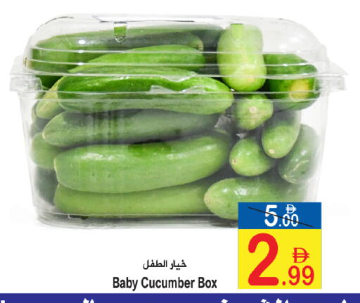 Cucumber available at سن اند ساند هايبر ماركت ذ.م.م in الإمارات العربية المتحدة , الامارات - رَأْس ٱلْخَيْمَة