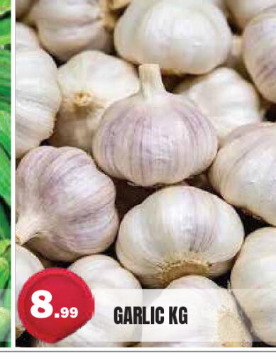 Garlic available at سنابل بني ياس in الإمارات العربية المتحدة , الامارات - أم القيوين‎