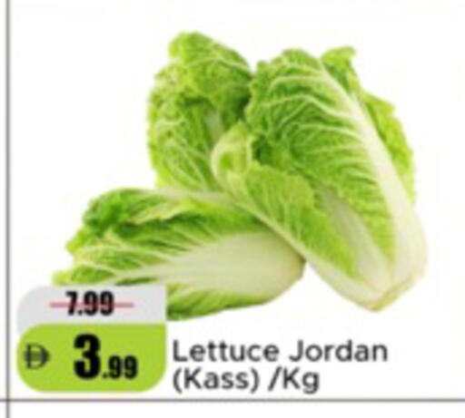 Lettuce from Jordan available at Al Aswaq Hypermarket in UAE - Ras al Khaimah
