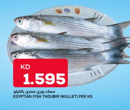available at Gulfmart in Kuwait - Kuwait City