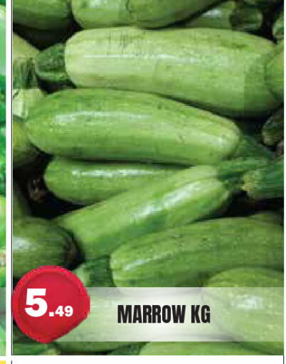 Marrow available at سنابل بني ياس in الإمارات العربية المتحدة , الامارات - أم القيوين‎