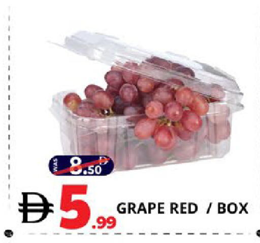 available at EXPRESS AL MADEENA HYPERMARKET LLC in UAE - Abu Dhabi