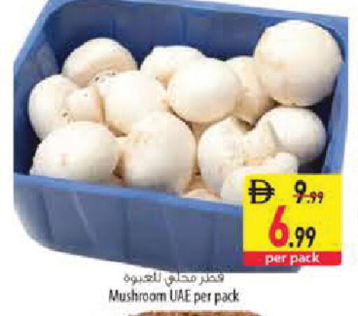 Mushroom متوفر لدى السفير ماركت في الإمارات العربية المتحدة , الامارات - الشارقة / عجمان