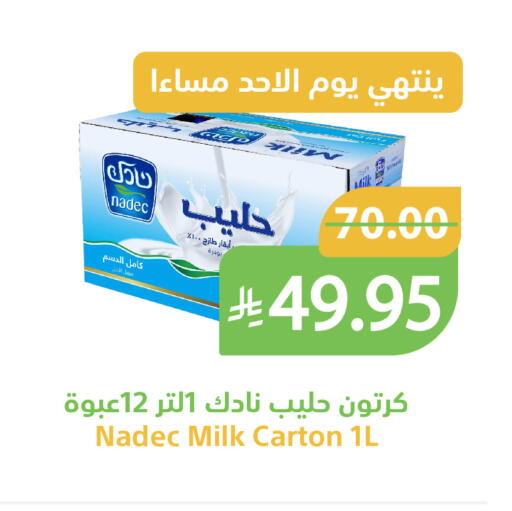 متوفر لدى أسواق قاطبة في مملكة العربية السعودية, السعودية, سعودية - بريدة