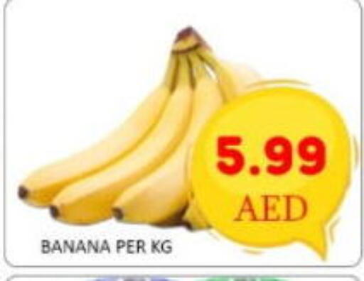 Tomato available at GREEN GIFT DEPARTMENT STORE in UAE - Abu Dhabi
