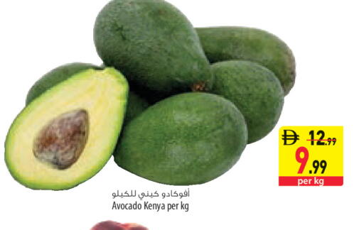 Avocado from Kenya available at السفير ماركت in الإمارات العربية المتحدة , الامارات - أبو ظبي
