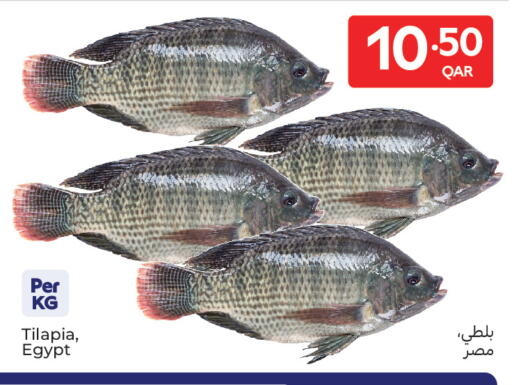 available at Carrefour in Qatar - Umm Salal