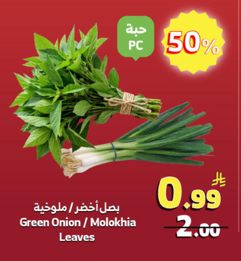 Onion available at الراية in مملكة العربية السعودية, السعودية, سعودية - خميس مشيط