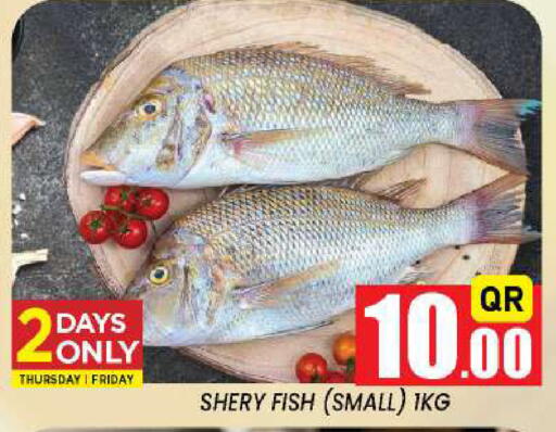 available at New Stop n Shop @Fereej Bin Omran in Qatar - Doha