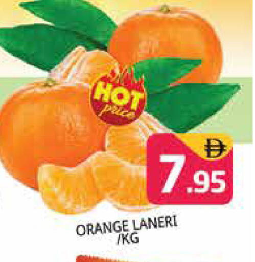 Orange متوفر لدى هايبر ماركت باسونز في الإمارات العربية المتحدة , الامارات - دبي