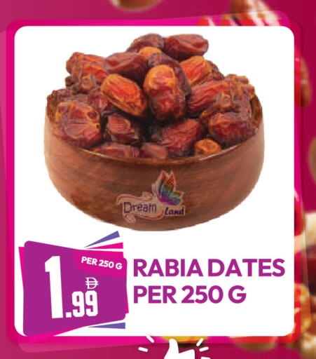 available at دريم لاند in الإمارات العربية المتحدة , الامارات - دبي