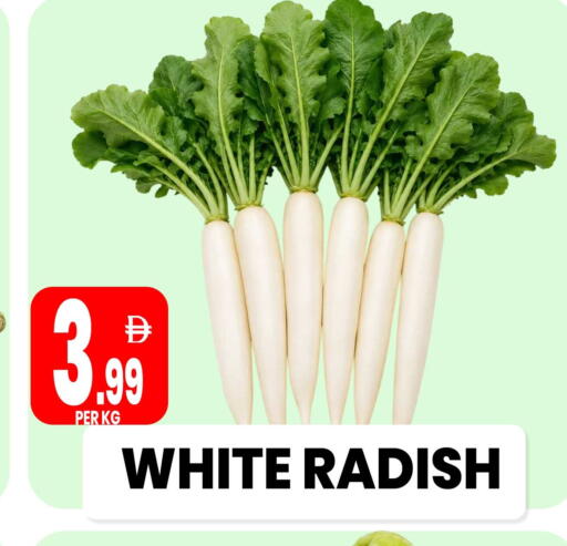 Radish متوفر لدى مركز الخصومات سنترو في الإمارات العربية المتحدة , الامارات - دبي