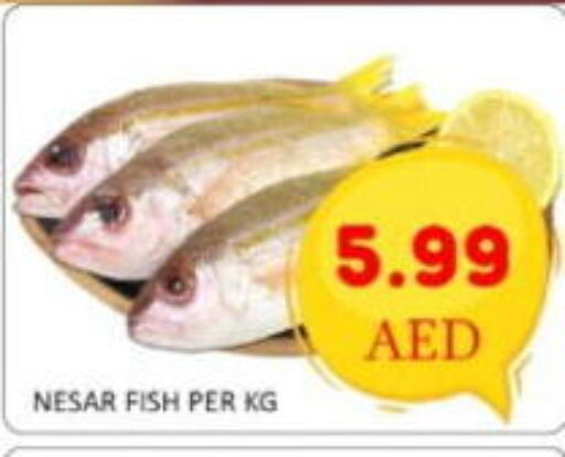available at GREEN GIFT DEPARTMENT STORE in UAE - Abu Dhabi