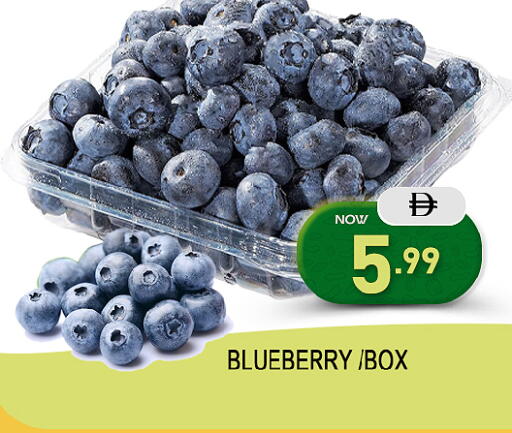 Blueberry BlueBerry Mango available at مانجو هايبرماركت in الإمارات العربية المتحدة , الامارات - الشارقة / عجمان