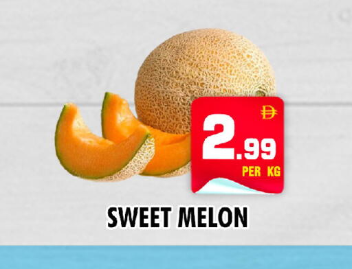 Melon متوفر لدى نايت تو نايت في الإمارات العربية المتحدة , الامارات - دبي