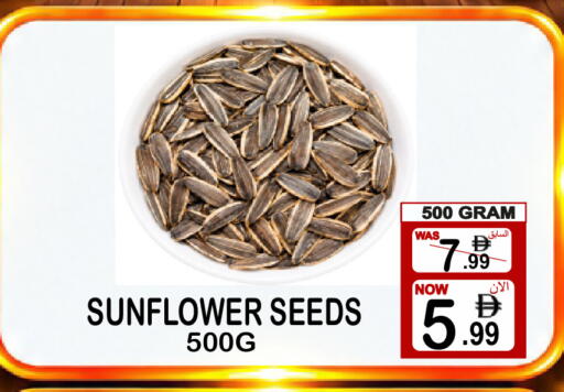 available at جفت بوينت in الإمارات العربية المتحدة , الامارات - دبي