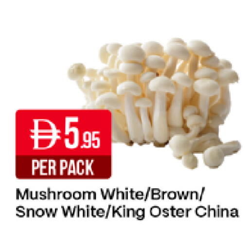 Mushroom من China متوفر لدى ويست زون سوبرماركت في الإمارات العربية المتحدة , الامارات - دبي