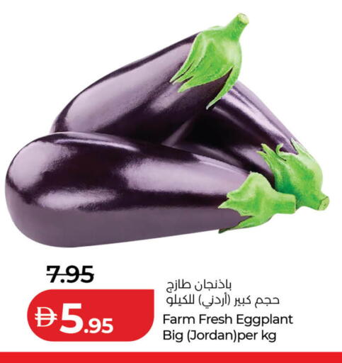 Eggplant من Jordan متوفر لدى لولو هايبرماركت في الإمارات العربية المتحدة , الامارات - دبي