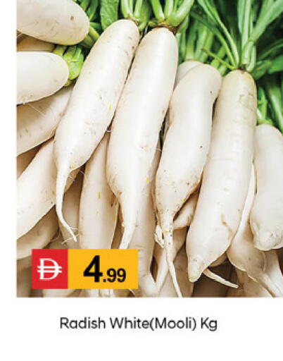 Radish متوفر لدى سوق طلال في الإمارات العربية المتحدة , الامارات - دبي