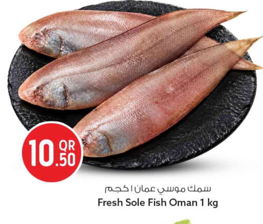 available at Safari Hypermarket in Qatar - Al Wakra