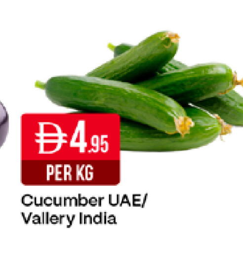 Cucumber من India متوفر لدى ويست زون سوبرماركت في الإمارات العربية المتحدة , الامارات - دبي