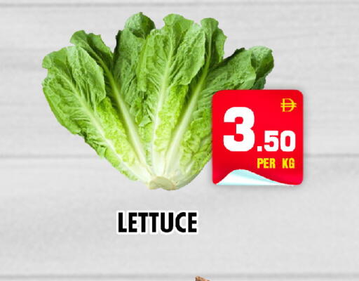 Lettuce متوفر لدى نايت تو نايت في الإمارات العربية المتحدة , الامارات - دبي