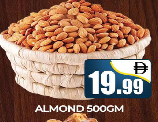 متوفر لدى المدينة في الإمارات العربية المتحدة , الامارات - دبي