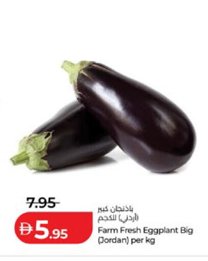 Eggplant from Jordan available at Lulu Hypermarket in UAE - Al Ain
