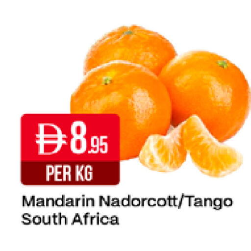 Mandarin من South Africa متوفر لدى ويست زون سوبرماركت في الإمارات العربية المتحدة , الامارات - دبي