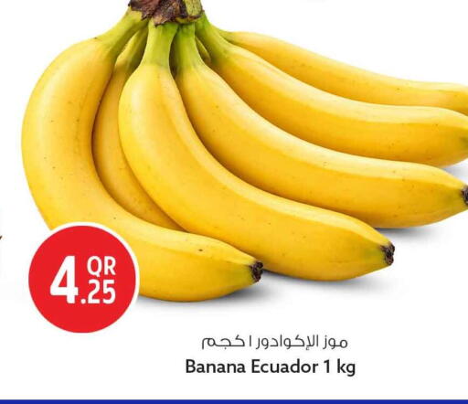 Banana from Ecuador available at Safari Hypermarket in Qatar - Al Wakra