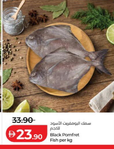 available at Lulu Hypermarket in UAE - Al Ain