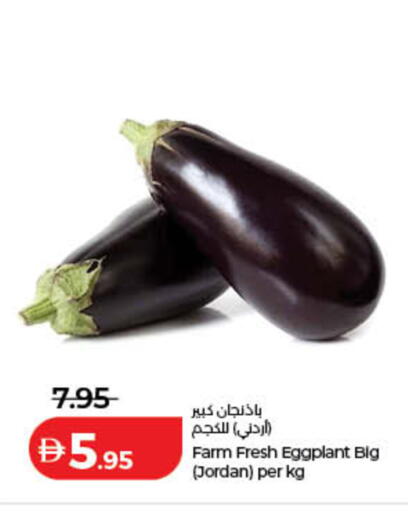 Eggplant من Jordan متوفر لدى لولو هايبرماركت في الإمارات العربية المتحدة , الامارات - دبي