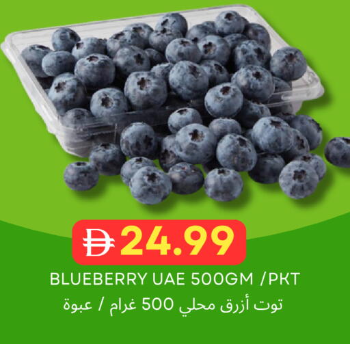 Blueberry BlueBerry available at Select Market in UAE - Abu Dhabi