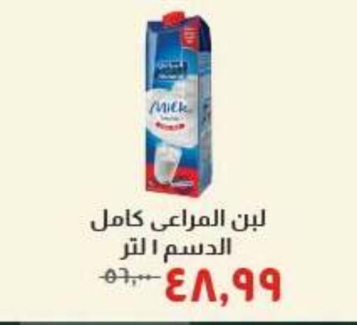available at Kheir Zaman  in Egypt - Cairo