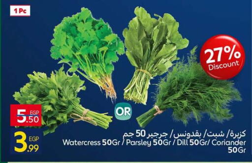 Watercress Parsley Dill Coriander available at Carrefour  in Egypt - Cairo