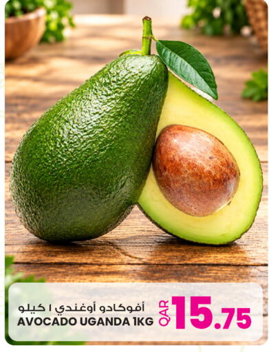 Avocado from Uganda available at أنصار جاليري in قطر - الوكرة