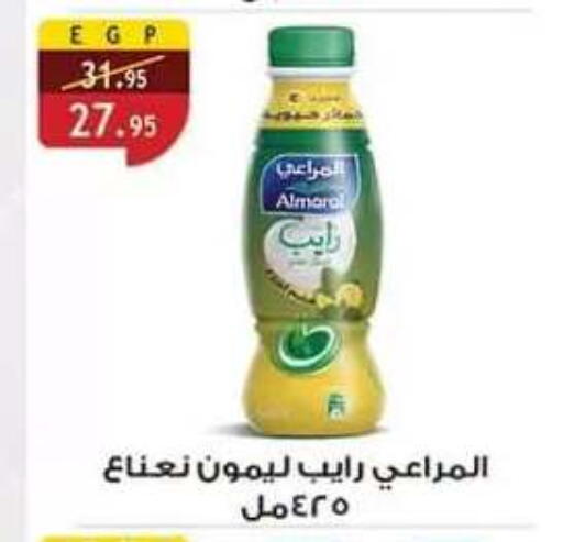 متوفر لدى الرايه  ماركت في Egypt - القاهرة