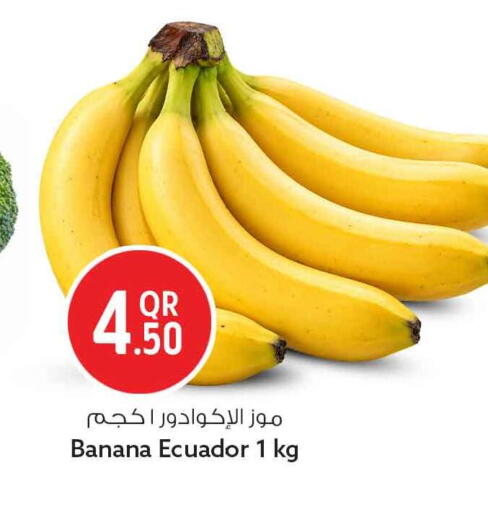 Banana from Ecuador available at سفاري هايبر ماركت in قطر - أم صلال