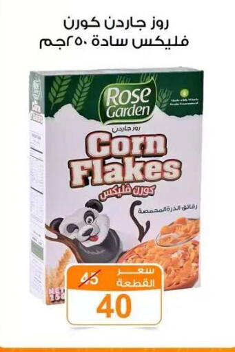 available at Gomla Market in Egypt - Cairo