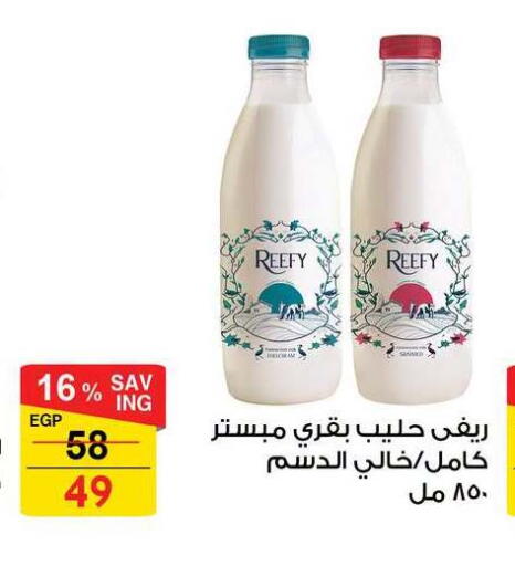 available at فتح الله in Egypt - القاهرة