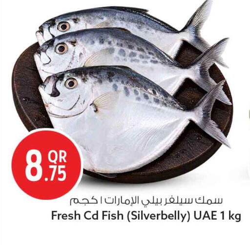 available at Safari Hypermarket in Qatar - Umm Salal