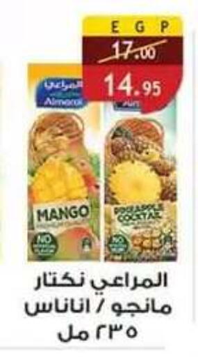 Mango available at Al Rayah Market   in Egypt - Cairo