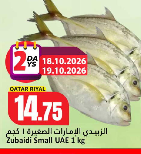 متوفر لدى دانة هايبرماركت في قطر - الوكرة