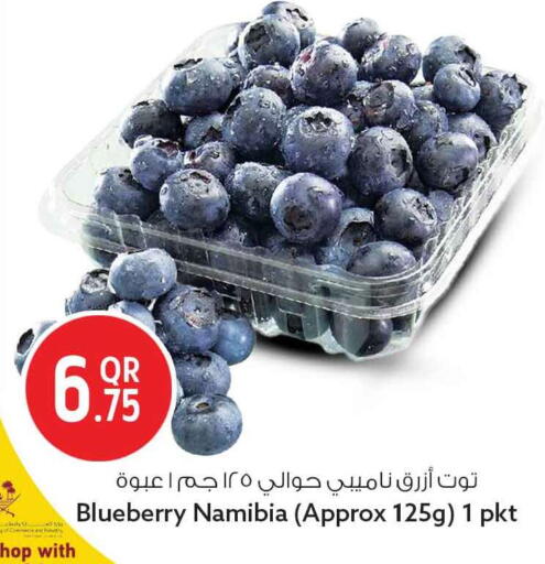 Blueberry BlueBerry from Namibia available at سفاري هايبر ماركت in قطر - أم صلال